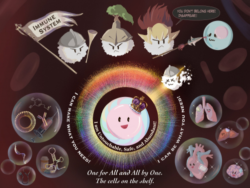 An illustration highlights a safe, universal stem cell source of therapeutic cells that can evade immune system. These cells can be made to produce vital therapeutics to augment the treatment options.
 